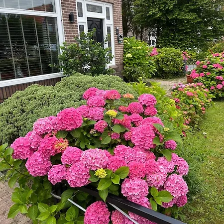 Casa Buitenhof, Near Leiden-katwijk Aan Zee Vakantiehuis Oegstgeest