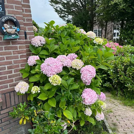 Vakantiehuis Casa Buitenhof, Near Leiden-katwijk Aan Zee