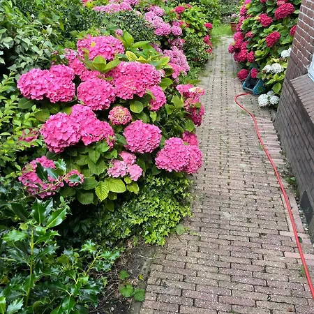 Casa Buitenhof, Near Leiden-katwijk Aan Zee Vakantiehuis *